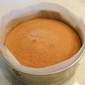 のりこinUSA's cooksnap of when they made スポンジケーキ　２１ｃｍ.
