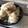 mocopuni's cooksnap of when they made 【給食風】ふきの炊き込みごはん.