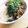 しゃみsy's cooksnap of when they made つゆ簡単！！3色のネバトロそば.
