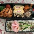 パンキーちゃん♬'s cooksnap of when they made 母の日にｶｰﾈｰｼｮﾝのお弁当☆.