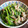 ひなたこやき's cooksnap of when they made 豚バラとセリのゆずこしょうオイル炒め.
