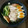 Rura♪'s cooksnap of when they made 冷やし豚しゃぶとキムチの徳山冷麺.