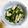 ともポンタ's cooksnap of when they made 三つ葉とうすあげのおひたし.