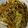 風の翼's cooksnap of when they made 野菜たっぷり ソース焼きそば.