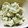 ✴︎こっこ✴︎'s cooksnap of when they made 簡単おつまみ〜アボカドとツナの和え物♡.