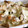 haupia1205's cooksnap of when they made ポテトとウィンナーのマヨチー焼き.