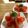 広野のタイタン's cooksnap of when they made トマトサラダ♡青紫蘇オリーブオイルで簡単.