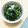 平井道子's cooksnap of when they made 苦手克服！春菊と大根おろしの酢の物.