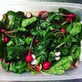 エモやん's cooksnap of when they made ラディッシュのマリネ.
