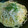earth mama's cooksnap of when they made しらすとあさつきの和風クリームパスタ.