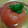 リリースター0312's cooksnap of when they made とまと丸ごとゼリー.