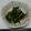 クックM89MQK☆'s cooksnap of when they made にんにく塩で♪ しらす・卵入り野菜炒め.