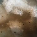 うにゃママ's cooksnap of when they made 味付けシンプル！手羽元の煮込み塩スープ.