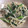 Holulele's cooksnap of when they made ニラともやしの旨塩炒め★.