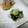 えまっちママ's cooksnap of when they made カルシウム補給☆わかめとしらすの酢の物.