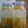 Tusentakk's cooksnap of when they made ゆず酒.