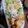 クック0T43KB☆'s cooksnap of when they made 安い！100円以下☆ボリュームから揚げ♪.