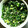 みさ★あや's cooksnap of when they made ご飯がすすみまくり☆大根の葉の白だし漬け.