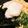 まっちゃぷりん♪'s cooksnap of when they made 【10分で！絶品とろろうどん】.