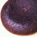 kinkinsan's cooksnap of when they made 炊飯器で！チョコレートシフォンケーキ.