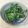 かかみん♪'s cooksnap of when they made こごみの胡麻和え.