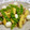Haru Haru's cooksnap of when they made せせりとうずら卵とヤングコーン炒め.