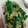 クックE9VVK2's cooksnap of when they made 牛肉とほうれん草の炒め物.
