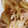 クックM1GIZX☆'s cooksnap of when they made 豚ロース肉の簡単生姜焼き.