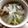 あーゆ♡'s cooksnap of when they made 白だしで！レタスとキュウリもやしのスープ.
