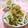赤い電話's cooksnap of when they made 大根ときゅうりの簡単サラダ☆.