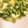 クックPIHA91☆'s cooksnap of when they made えんどう豆✩ふわふわ卵とじ.