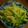 でかでかさらだ's cooksnap of when they made じゃがいもとピーマンのツナ炒め.
