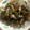 ☆さくらパパ☆'s cooksnap of when they made あさりのバター焼き.