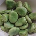 みたらしだんご大好き's cooksnap of when they made プロに教わる、そら豆の切り方、茹で方.
