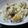 sanshou's cooksnap of when they made 秋満喫♪さんまと栗の炊き込みご飯.