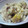 sanshou's cooksnap of when they made 秋満喫♪さんまと栗の炊き込みご飯.