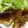 クックY5MLP9☆'s cooksnap of when they made 鱈ムニエルのまるごとレモンソースがけ.