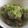 delight＊'s cooksnap of when they made アサリとキャベツの酒蒸し.