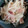 クックZ8J4H4☆'s cooksnap of when they made 丸ごと使い！大根とベーコンのコンソメ炒め.