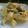たまかるび's cooksnap of when they made そら豆サラダ.