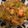 クックET15YS☆'s cooksnap of when they made 鮭とキャベツの炒め物.