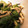 クックLZ7E8G☆'s cooksnap of when they made ピーマンと椎茸の炒め煮.