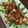 mioly's cooksnap of when they made 鶏モモの照り焼き甘辛オイスター風味.
