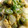 ちづりんも's cooksnap of when they made そら豆と卵の塩炒め.