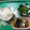 はるくんさん's cooksnap of when they made 鯖の煮付け.