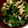 korkor7's cooksnap of when they made ほうれん草の韓国のり和え☆.