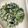 granmaria's cooksnap of when they made 甘酒×味噌で！ほうれん草の白和え.