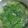 マキマキ913's cooksnap of when they made 小松菜と豆腐の味噌汁.