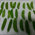 makichaki's cooksnap of when they made きぬさやの下拵え・保存方法.