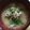 らんち☆'s cooksnap of when they made 豚汁☆簡単バージョン.